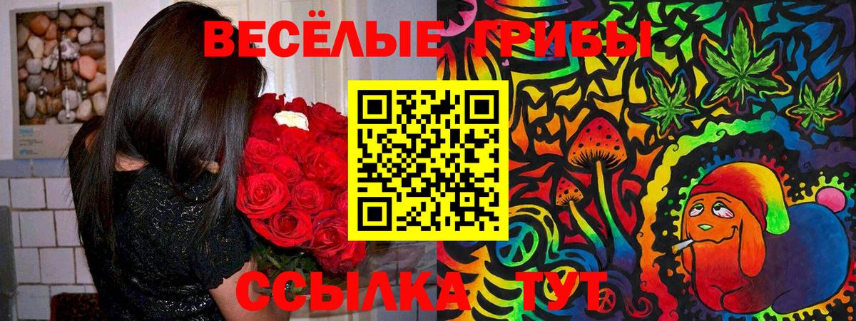 Псилоцибиновые грибы Magic Shrooms  Галлюциногенные грибы мицелий  Вход с VPN  Тулун 